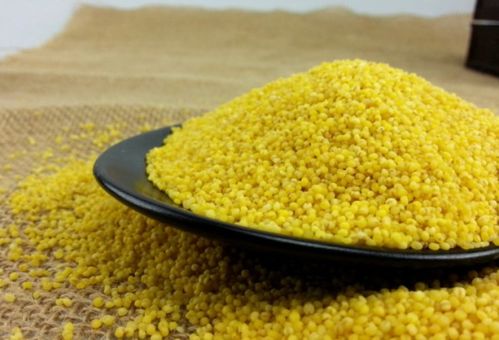 有包裝的小米過了保質期，還能吃嗎？雜糧儲存與安全食用指南